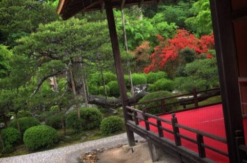 京都の日本庭園、京都の日本庭園、日本庭園。