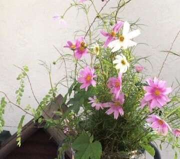 外のテーブルの上に花で満たされたガラスの花瓶。