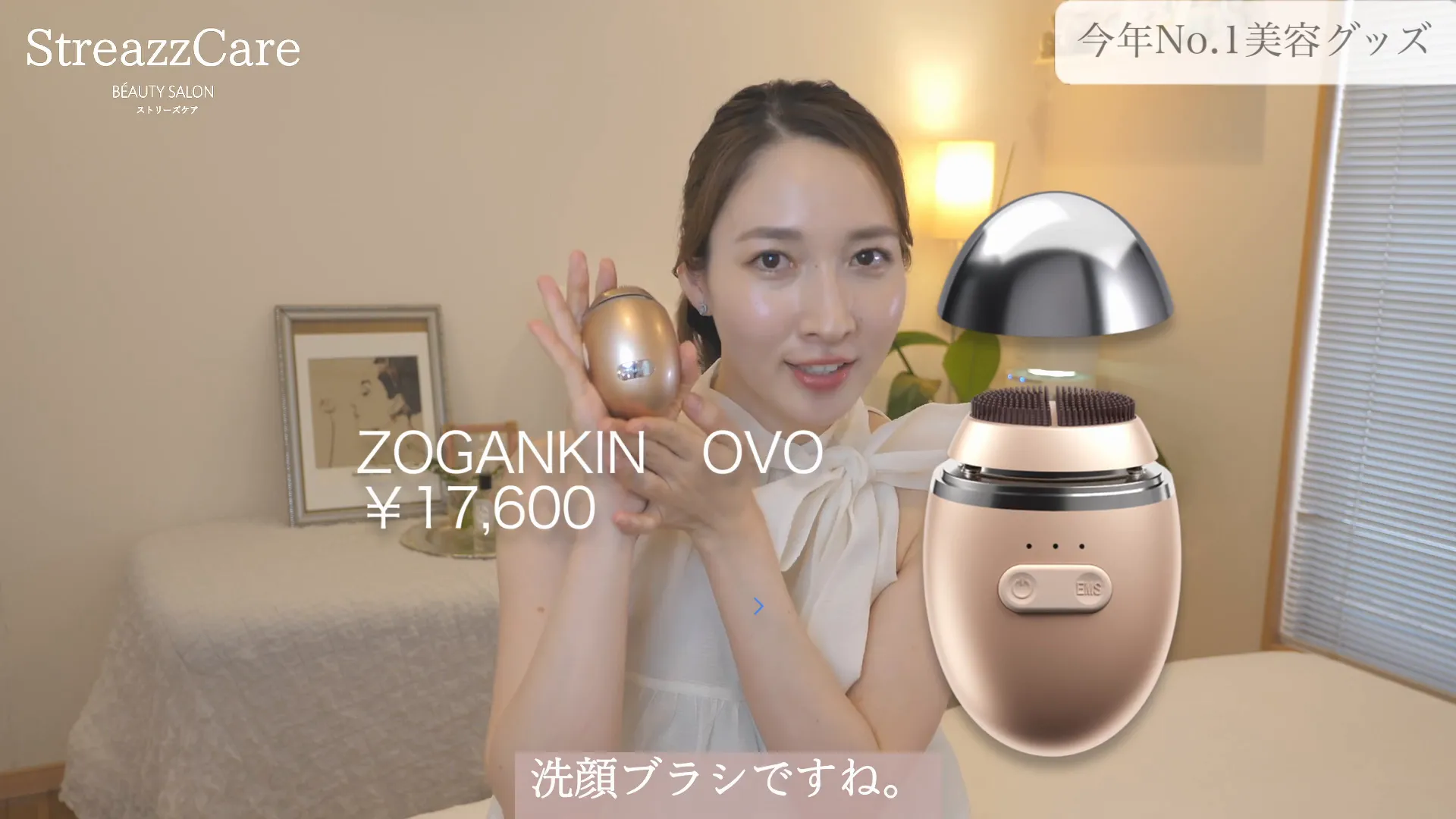 ゾーガンキンオーヴォ洗顔ブラシの外観